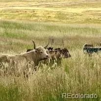 lot4 Wildstone Rnch, Elbert, CO 80106 photo 21