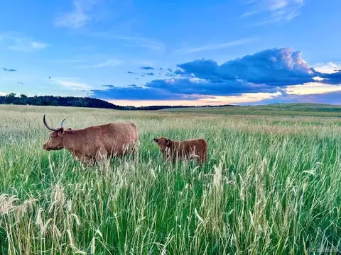 lot4 Wildstone Rnch, Elbert, CO 80106 photo 34