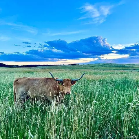 lot4 Wildstone Rnch, Elbert, CO 80106 photo 41