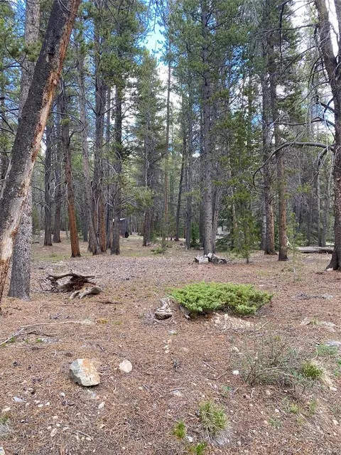 County Road 50, Como, CO 80432 photo 18
