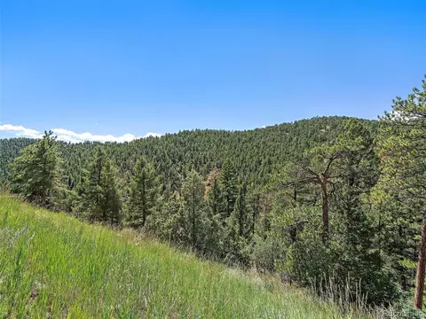 13809 Elsie Rd, Conifer, CO 80433 photo 11