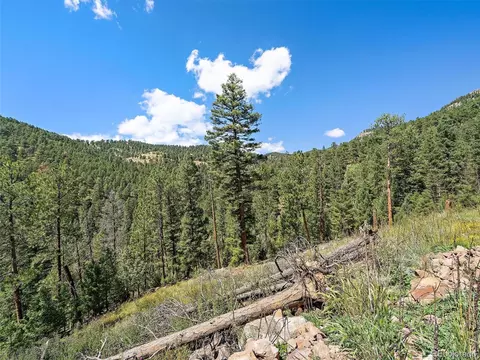13809 Elsie Rd, Conifer, CO 80433 photo 13