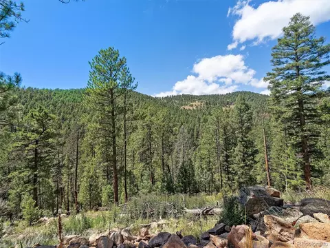 13809 Elsie Rd, Conifer, CO 80433 photo 16