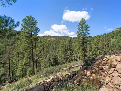 13809 Elsie Rd, Conifer, CO 80433 photo 14