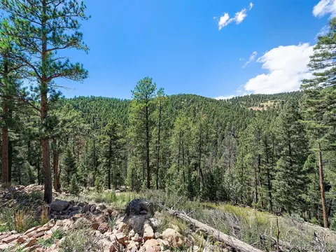 13809 Elsie Rd, Conifer, CO 80433 photo 12