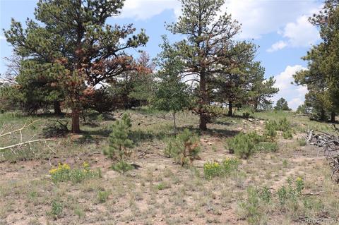 2207 Blacksmith Rd, Hartsel, CO 80449 photo 18