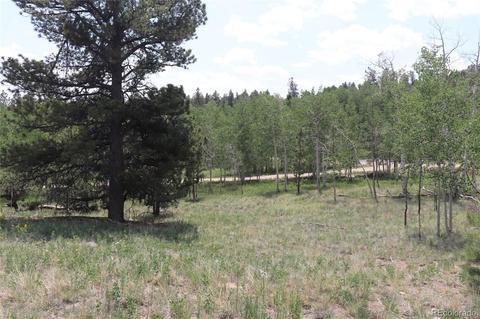 2207 Blacksmith Rd, Hartsel, CO 80449 photo 11