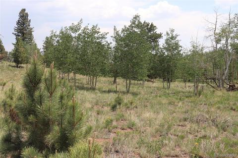 2207 Blacksmith Rd, Hartsel, CO 80449 photo 9