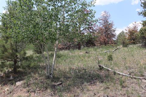 2207 Blacksmith Rd, Hartsel, CO 80449 photo 2
