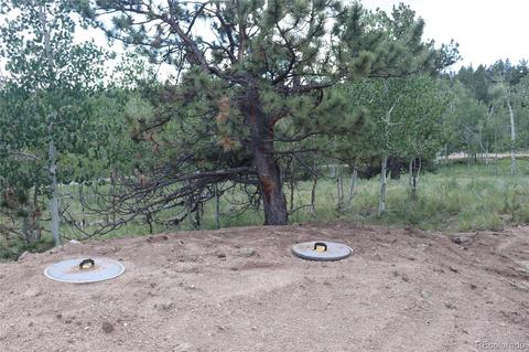 2207 Blacksmith Rd, Hartsel, CO 80449 photo 4