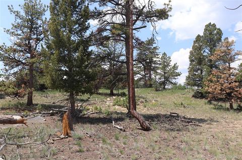 2207 Blacksmith Rd, Hartsel, CO 80449 photo 14