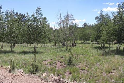 2207 Blacksmith Rd, Hartsel, CO 80449 photo 7
