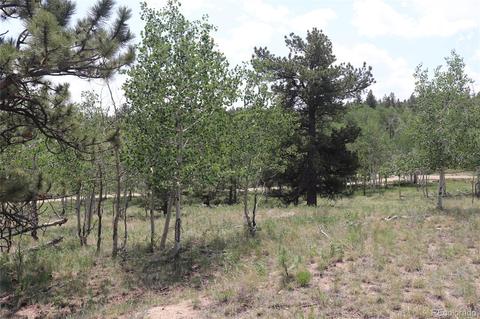 2207 Blacksmith Rd, Hartsel, CO 80449 photo 5