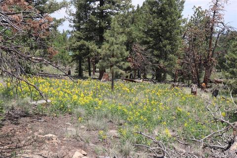 2207 Blacksmith Rd, Hartsel, CO 80449 photo 6