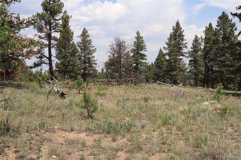 2207 Blacksmith Rd, Hartsel, CO 80449 photo 10