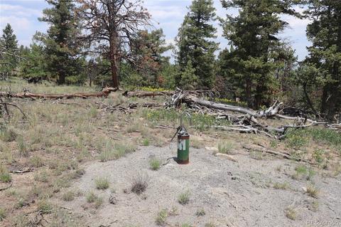 2207 Blacksmith Rd, Hartsel, CO 80449 photo 3