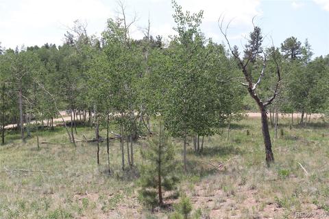 2207 Blacksmith Rd, Hartsel, CO 80449 photo 16