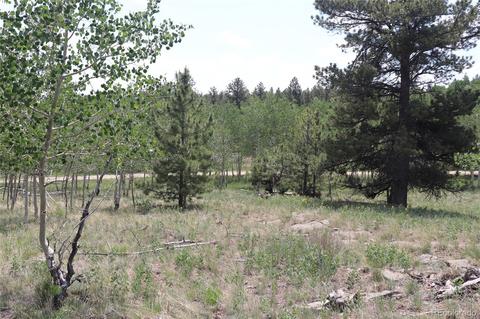 2207 Blacksmith Rd, Hartsel, CO 80449 photo 15