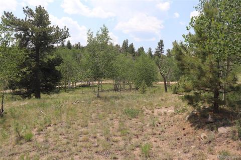 2207 Blacksmith Rd, Hartsel, CO 80449 photo 8
