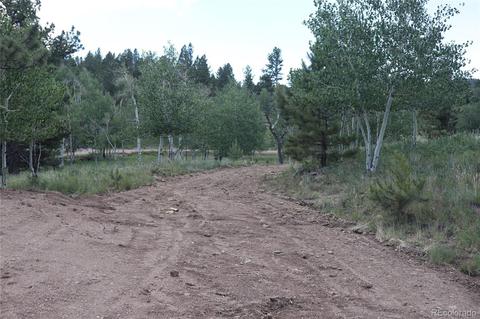 2207 Blacksmith Rd, Hartsel, CO 80449 photo 13