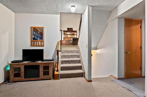 3781 E 99th Way, Thornton, CO 80229 photo 20