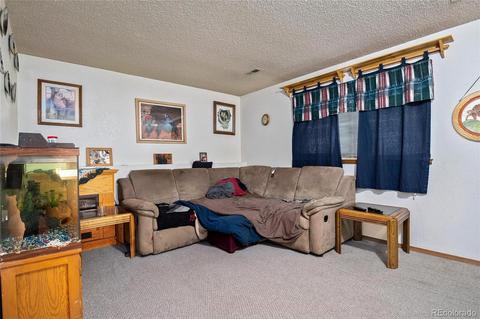 3781 E 99th Way, Thornton, CO 80229 photo 9