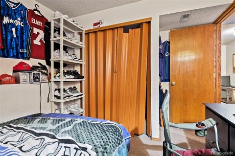 3781 E 99th Way, Thornton, CO 80229 photo 27