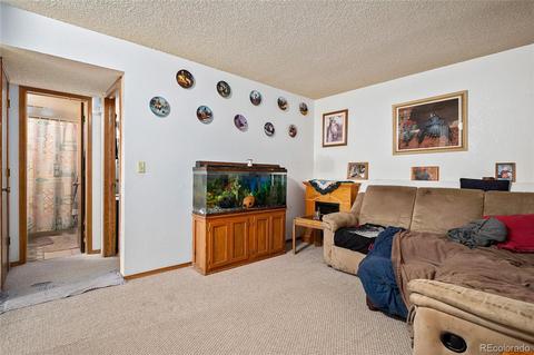 3781 E 99th Way, Thornton, CO 80229 photo 10
