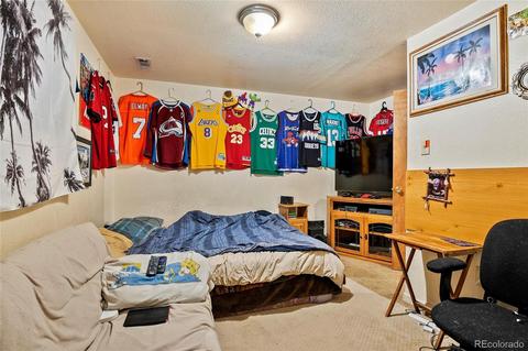 3781 E 99th Way, Thornton, CO 80229 photo 26