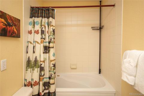 22784 Us Highway 6 #2666, Dillon, CO 80435 photo 20