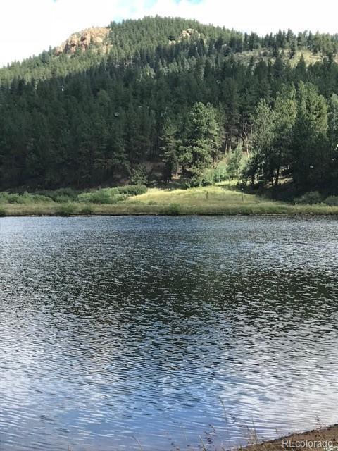 98 Marks Ln, Bailey, CO 80421 photo 23
