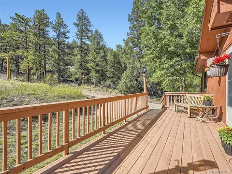 578 N Hill Dr, Bailey, CO 80421 photo 29