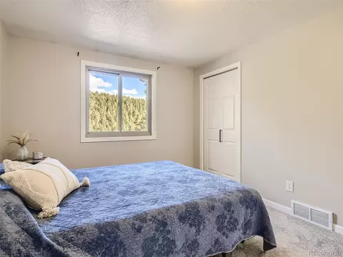 578 N Hill Dr, Bailey, CO 80421 photo 14