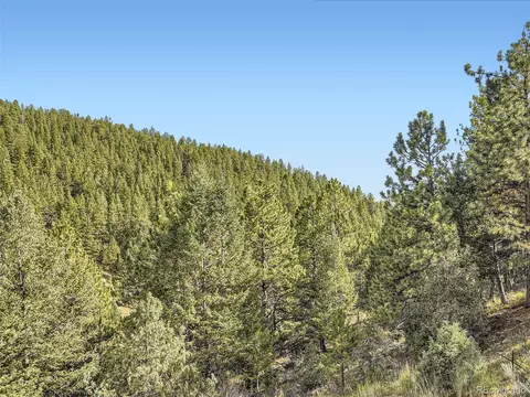 578 N Hill Dr, Bailey, CO 80421 photo 26