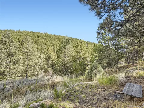 578 N Hill Dr, Bailey, CO 80421 photo 23