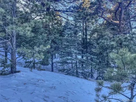 1174 Monarch Dr, Cripple Creek, CO 80813