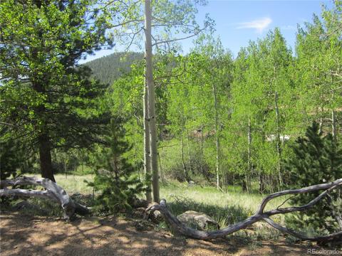 91 Timbertop Rd, Bailey, CO 80421 photo 7