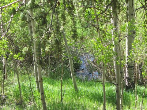 91 Timbertop Rd, Bailey, CO 80421 photo 6