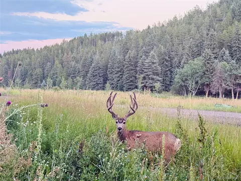Other - 26955 Stagecoach Rd, Conifer, CO 80433 photo 12 of 14