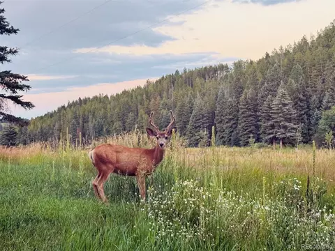 Other - 26955 Stagecoach Rd, Conifer, CO 80433 photo 13 of 14