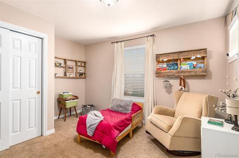 512 Flicker Ave, Longmont, CO 80501 photo 15