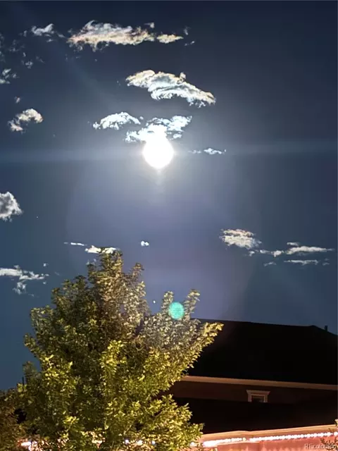 Other - 278 Hayes St, Bailey, CO 80421 photo 19 of 19