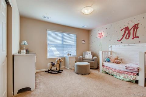 3423 E 143rd Pl, Thornton, CO 80602 photo 21