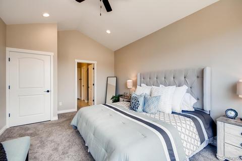 11602 Colony Loop, Parker, CO 80138 photo 9