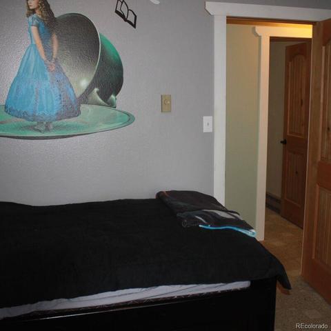 8721 S Warhawk Rd, Conifer, CO 80433 photo 19
