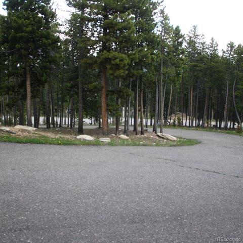 8721 S Warhawk Rd, Conifer, CO 80433 photo 16