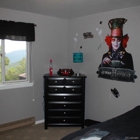 8721 S Warhawk Rd, Conifer, CO 80433 photo 20