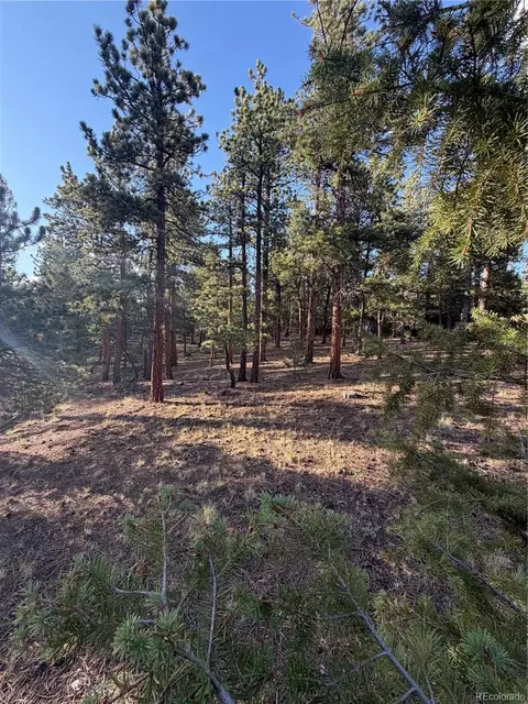 Other - 237 Road B, Pine, CO 80470 photo 15 of 20
