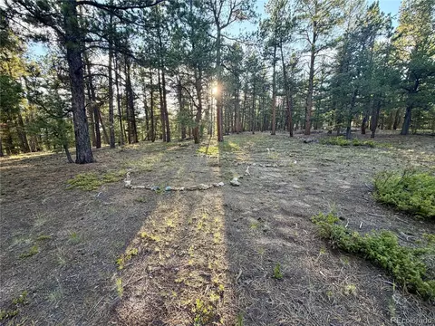Exterior - 237 Road B, Pine, CO 80470 photo 4 of 13