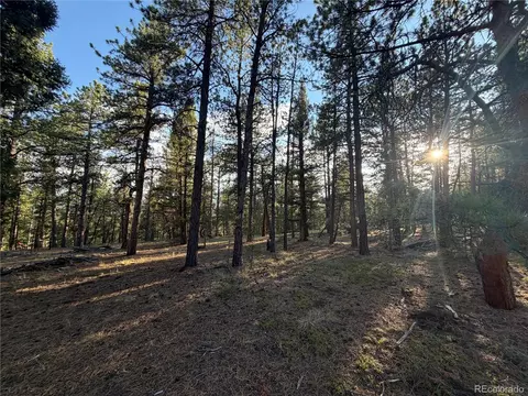 Other - 237 Road B, Pine, CO 80470 photo 18 of 20